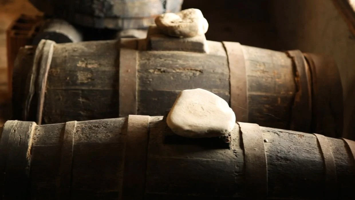 "Aragosta" - Aceto Balsamico Tradizionale di Reggio Emilia DOP - Image 7