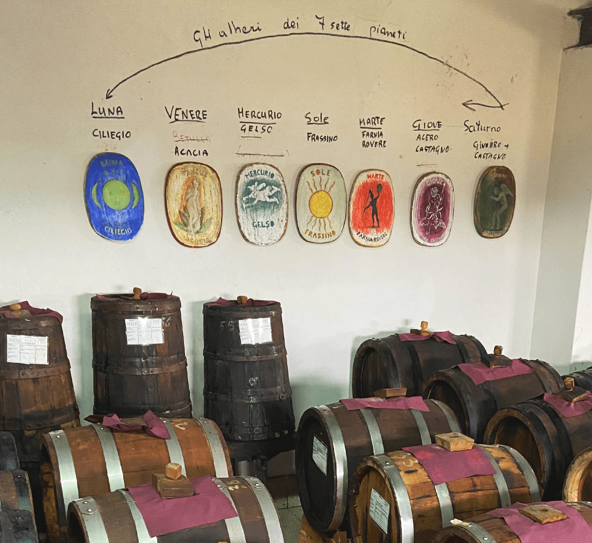 "Affinato" - Aceto Balsamico Tradizionale di Modena DOP - Biologico - Biodinamico - Image 5
