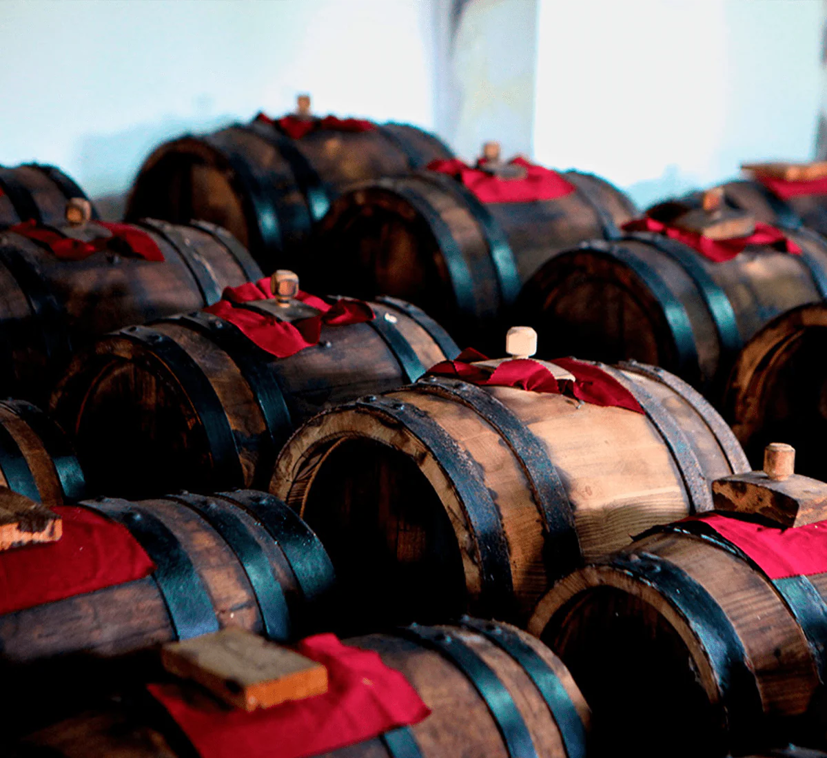 "Affinato" - Aceto Balsamico Tradizionale di Modena DOP - Biologico - Biodinamico - Image 6