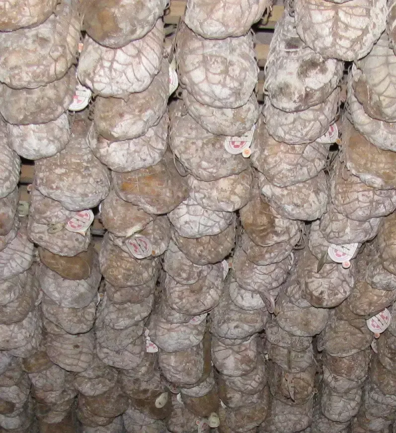 Culatello di Zibello DOP - Oltre 12 Mesi - Intero con Scatola - Image 8