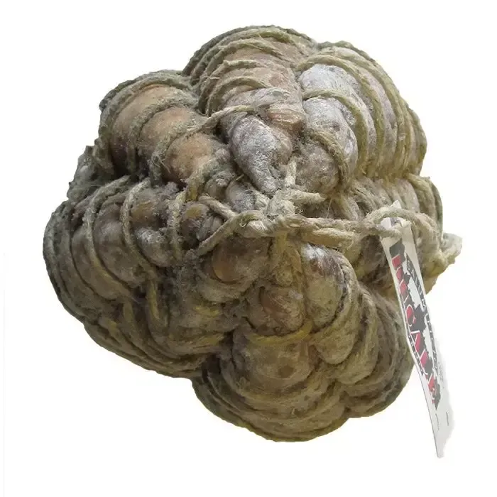 Fiocchetto di Prosciutto - 6 Mesi - Intero - In Corda - Image 4