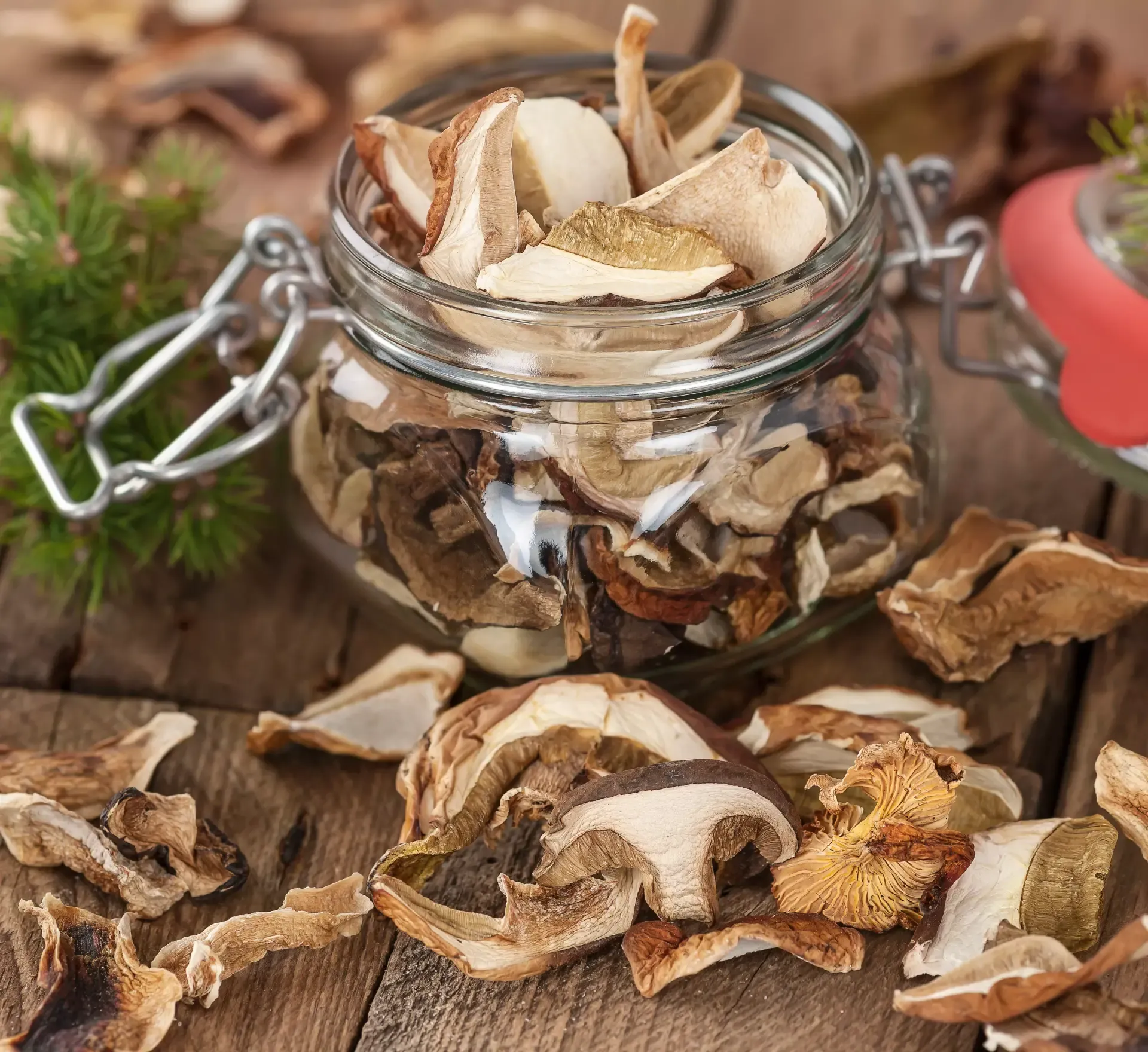 Funghi Porcini Secchi - Qualità Speciale - Image 4