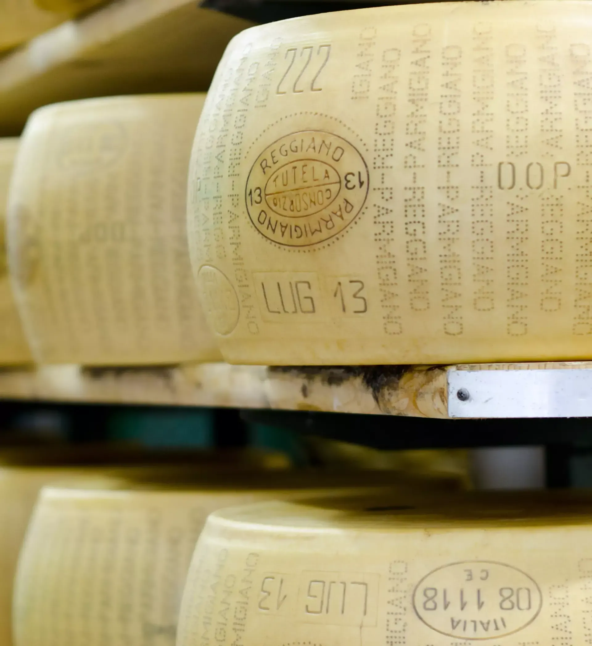 Parmigiano Reggiano DOP - 25 Snack - Image 3