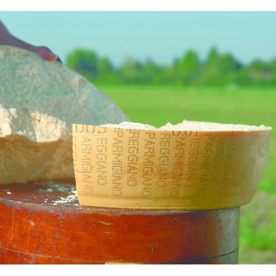 Parmigiano Reggiano DOP - Biologico - 60 Mesi - Image 4