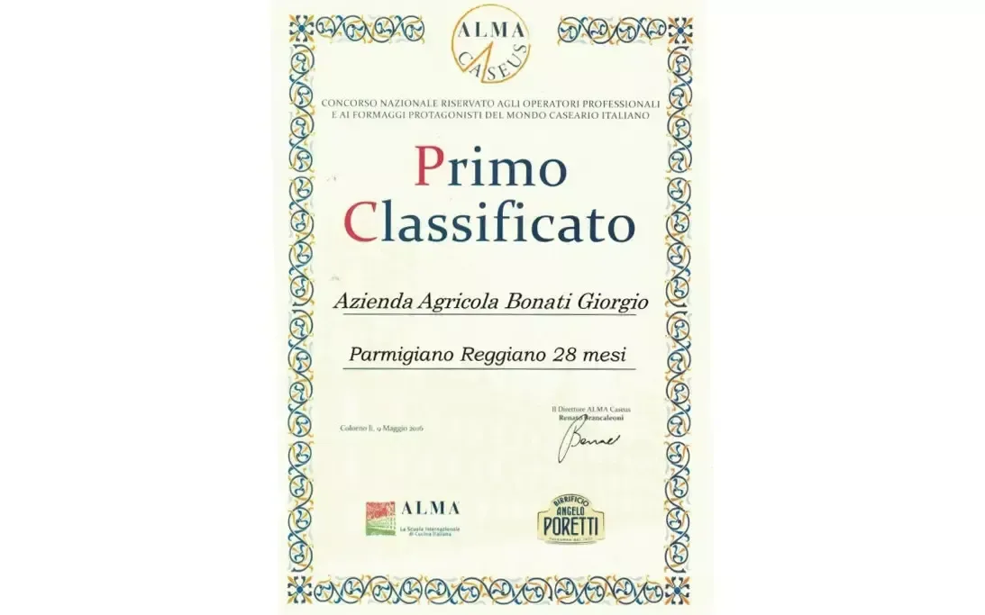 Parmigiano Reggiano DOP - Bonat - 10 Anni - Image 4