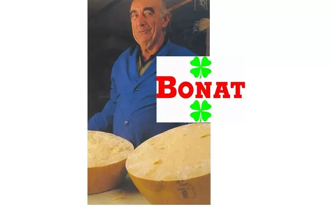 Parmigiano Reggiano DOP - Bonat - 10 Anni - Image 6