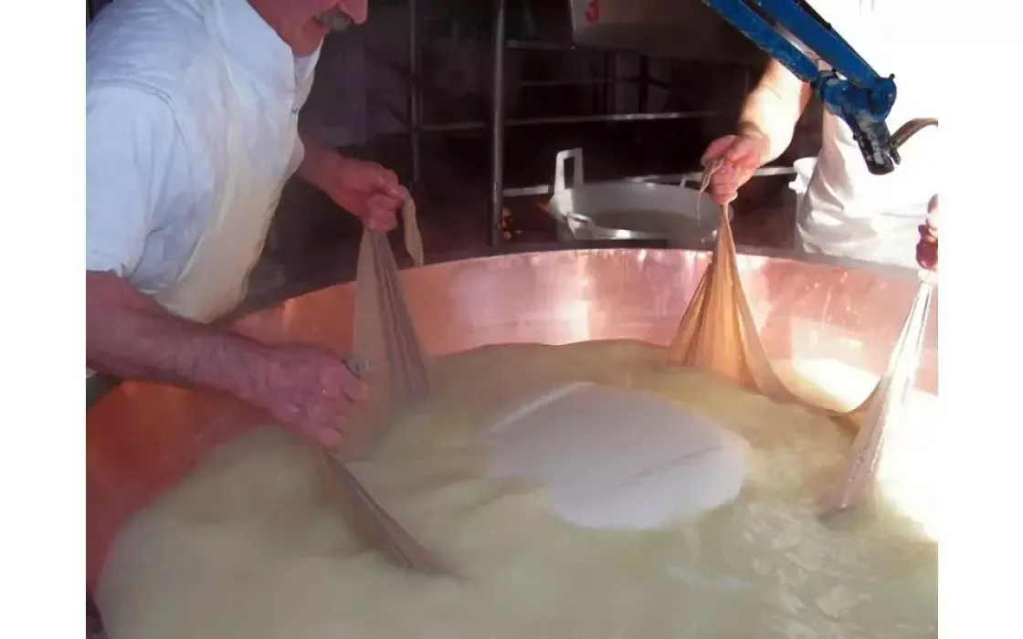 Parmigiano Reggiano DOP - Bonat - 10 Anni - Image 7