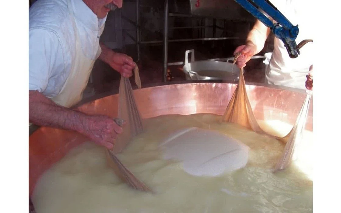 Parmigiano Reggiano DOP - Bonat - Oltre 22 Anni - Image 6