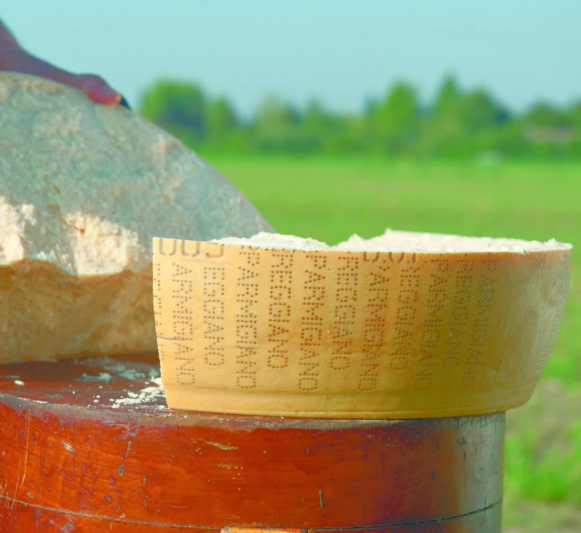 Parmigiano Reggiano DOP - Prodotto di Montagna - 24 Mesi - In Confezione Regalo - Image 8