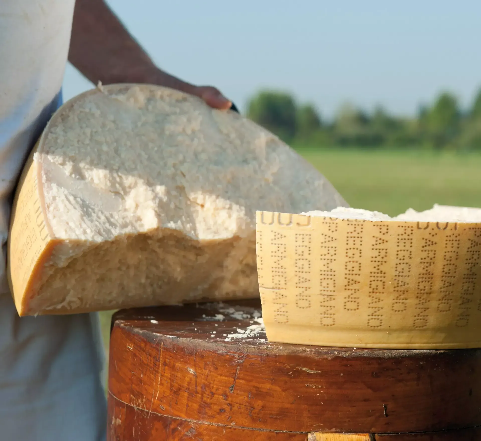 Parmigiano Reggiano DOP - Prodotto di Montagna - 36 Mesi - Image 4