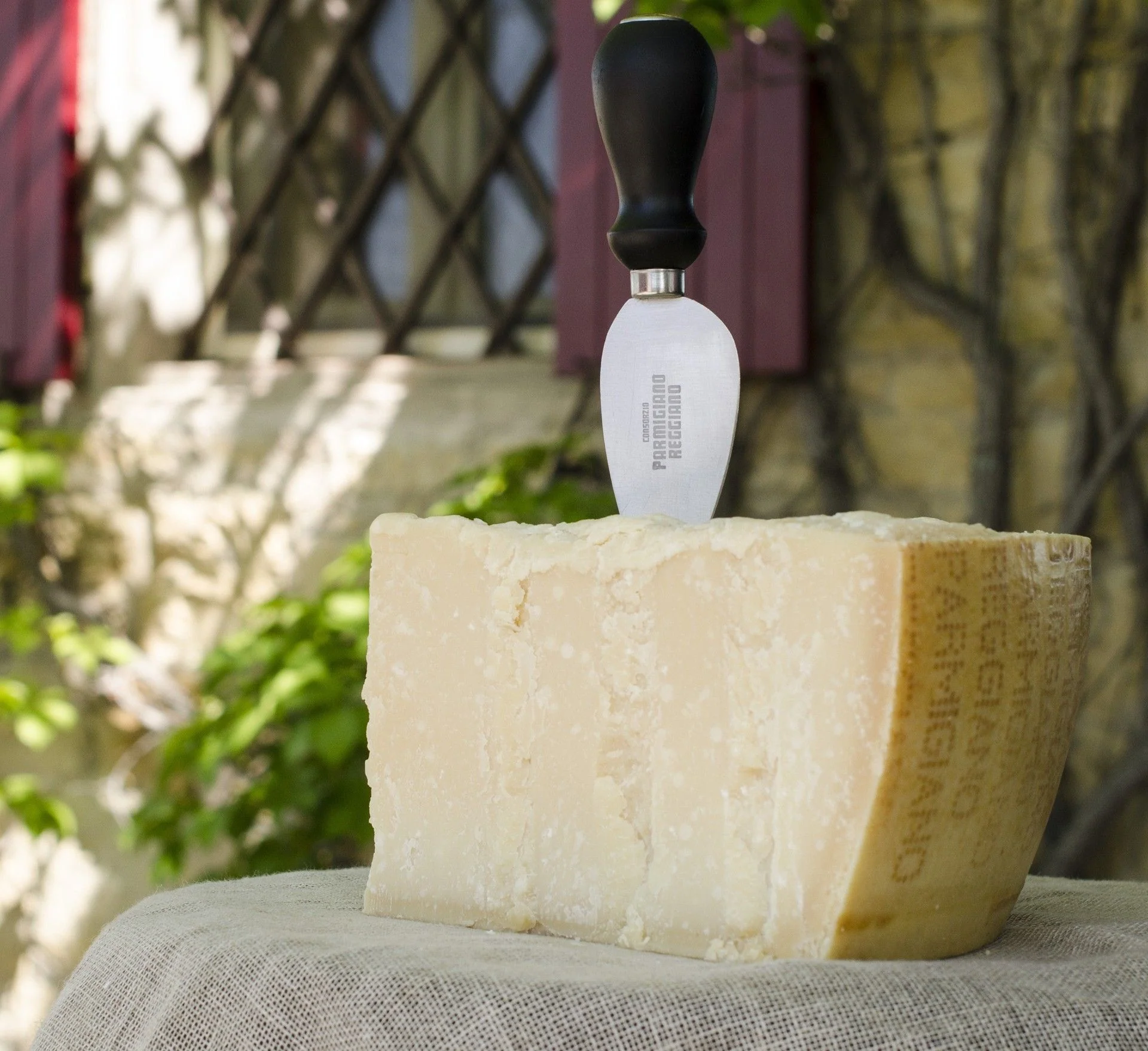 Parmigiano Reggiano DOP - Solodibruna® - 24 Mesi - Image 4