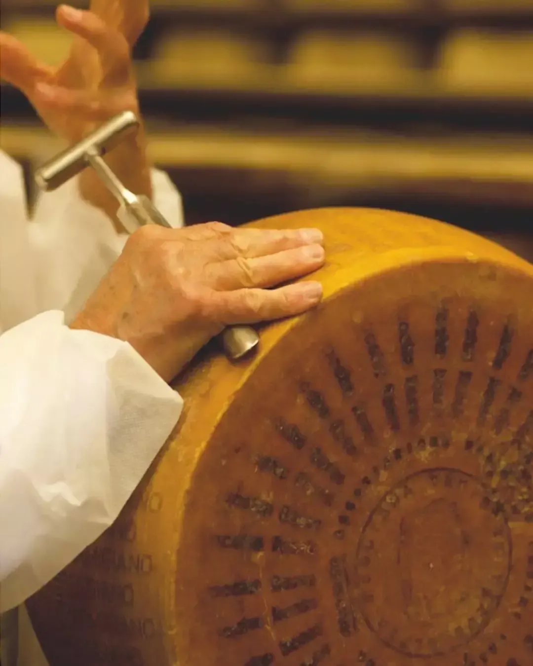 Parmigiano Reggiano DOP - Vacche Rosse - 24 Mesi - Forma Intera - Image 7
