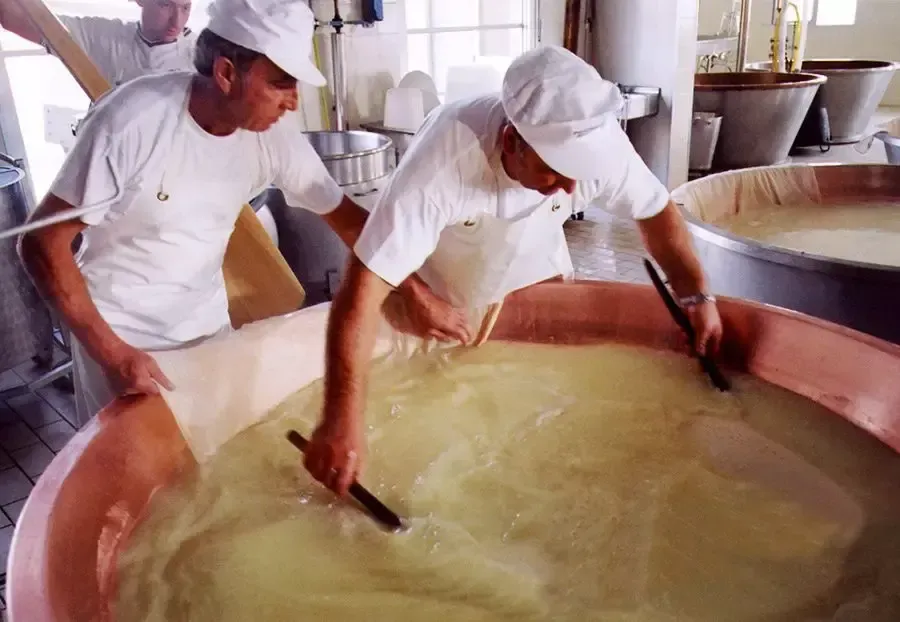 Parmigiano Reggiano DOP - Vacche Rosse - Oltre 70 Mesi - Image 4
