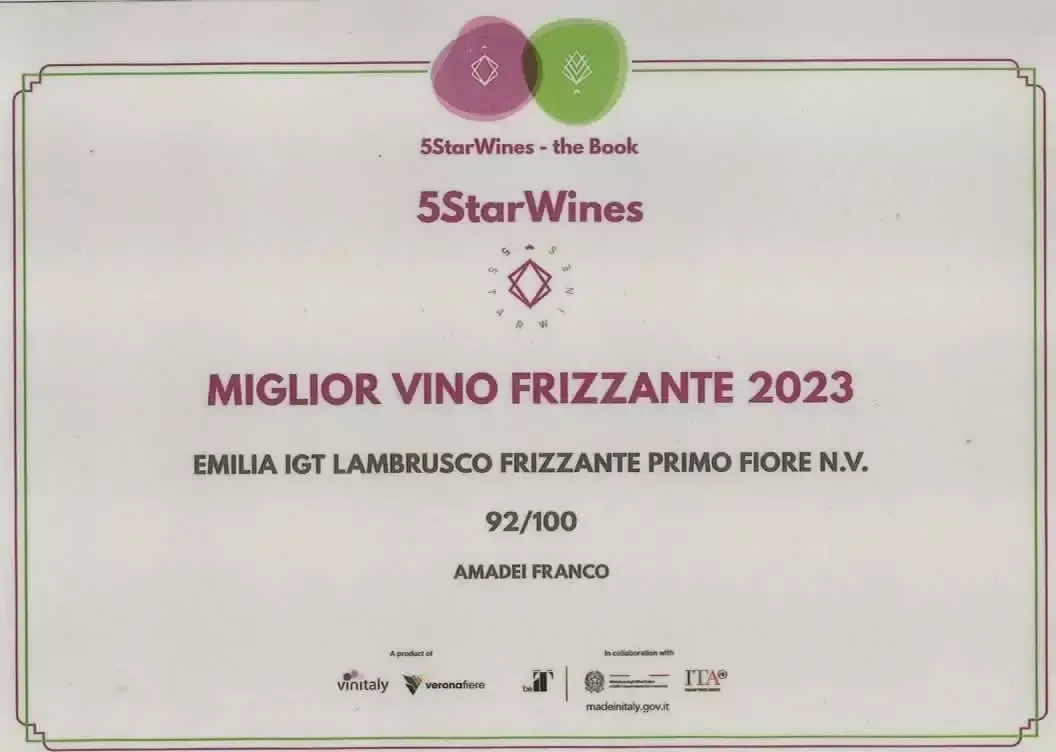 "Primo Fiore" - Lambrusco Emilia IGT - Image 4