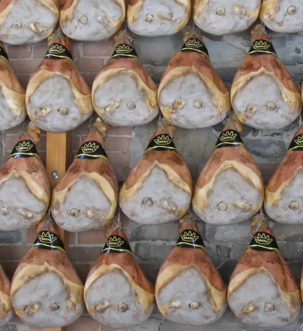 Prosciutto di Parma DOP - 18 Mesi - Intero - Con Osso - Image 3